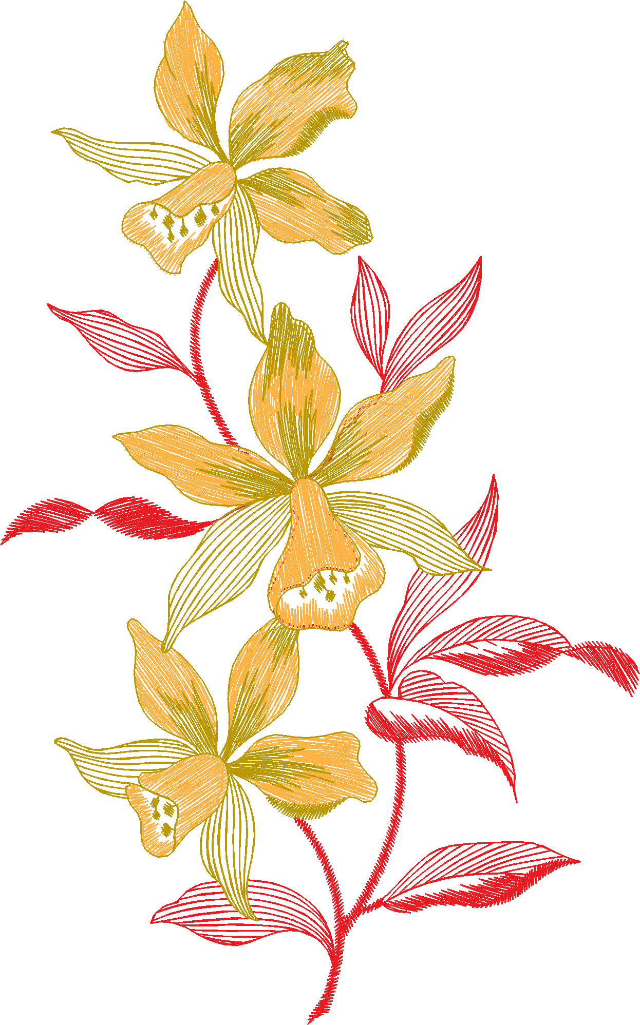 Des02 08