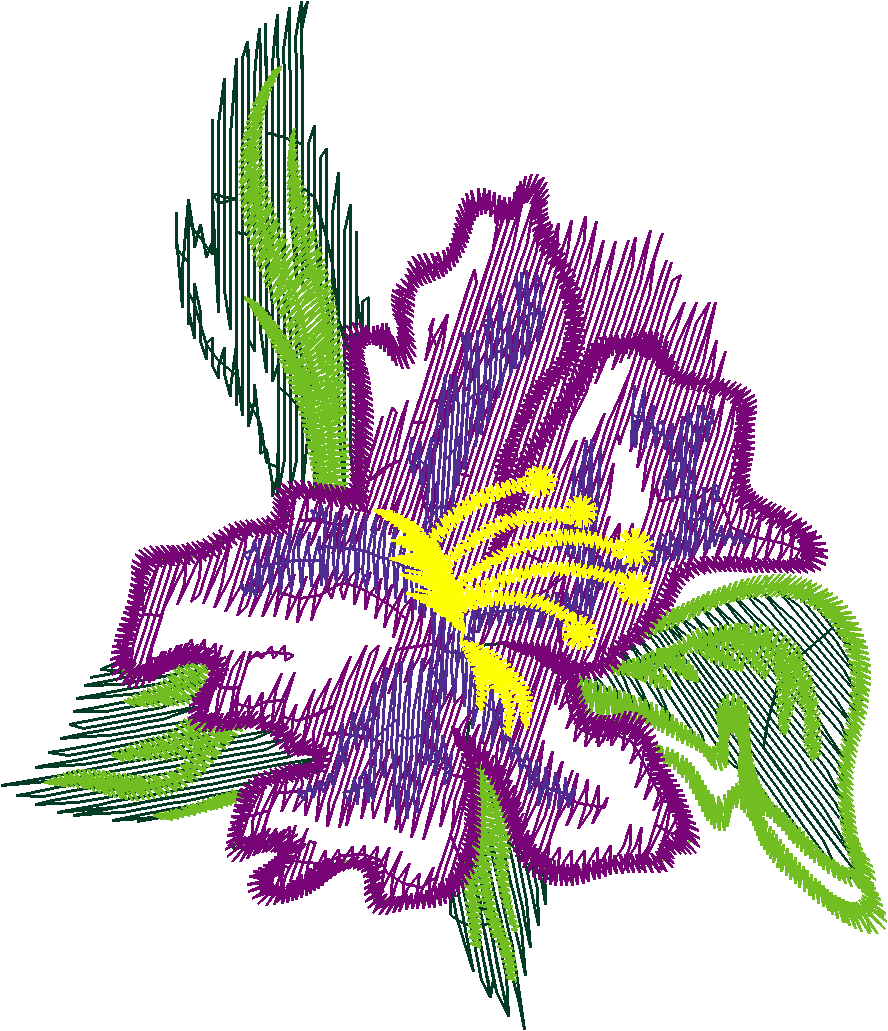 005