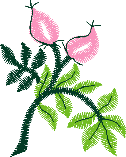 009