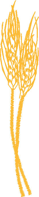 Ad1001 006