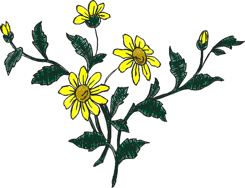 Ad1080 020