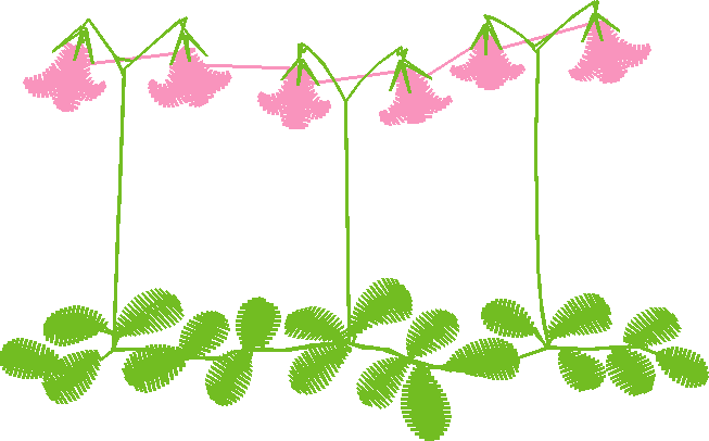 Des12 15