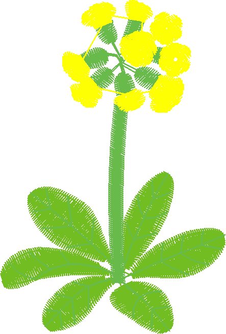 Des12 16