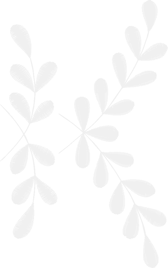Des15203