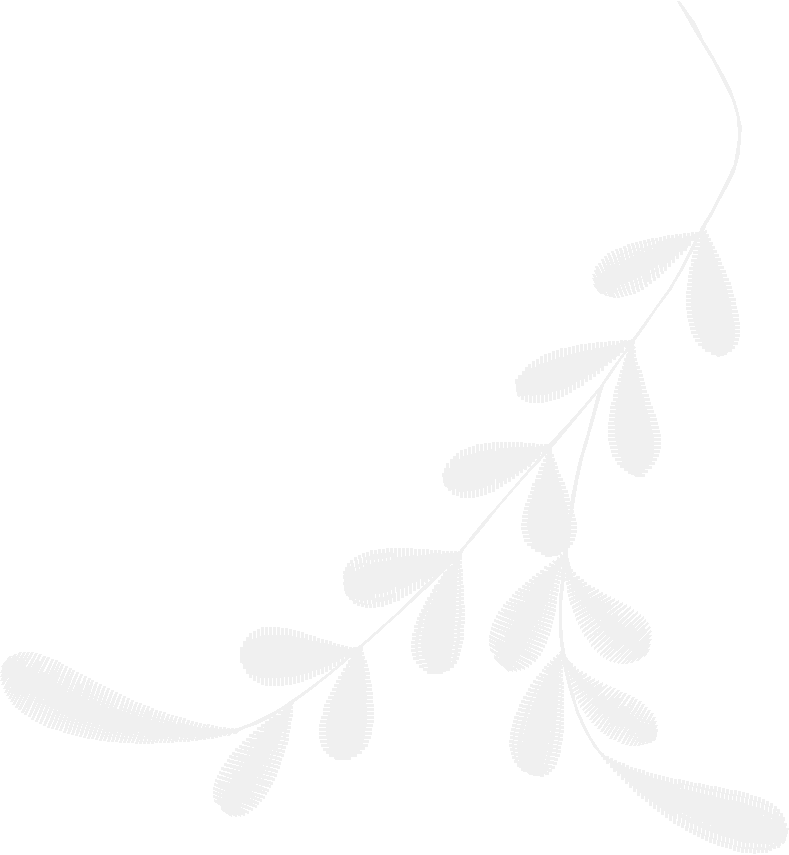 Des15305