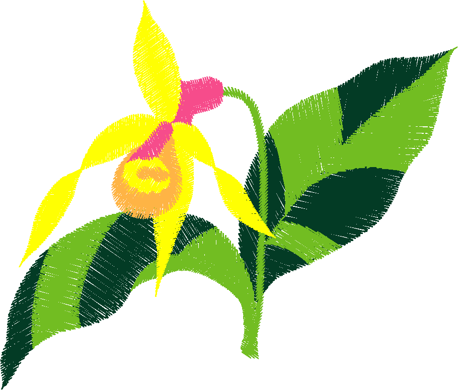 Floral3004