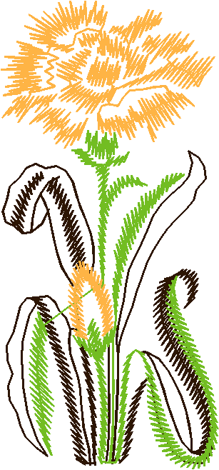 Floral3017
