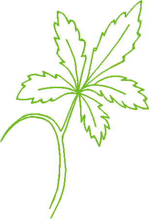 Leaves2