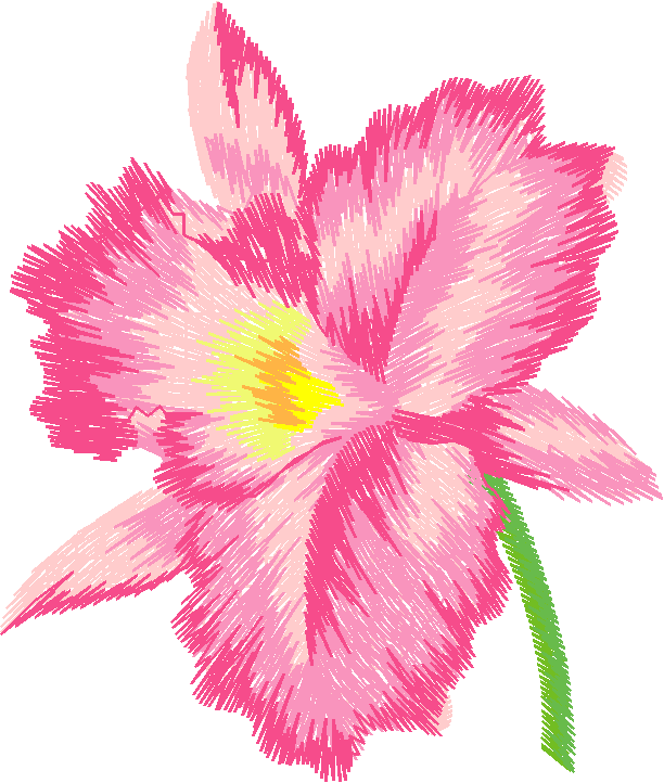 N¦ 31019