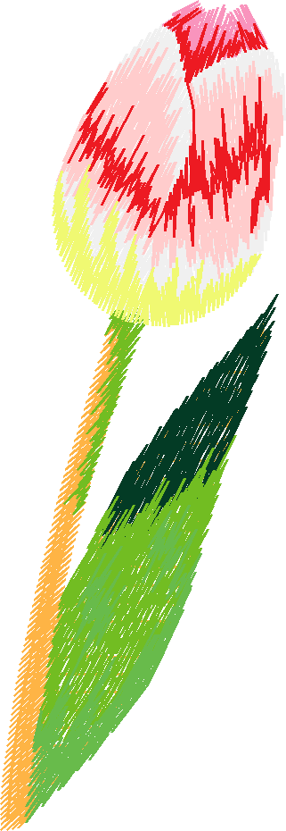 N¦ 31022