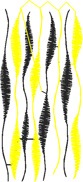 Geometric 3 (27)