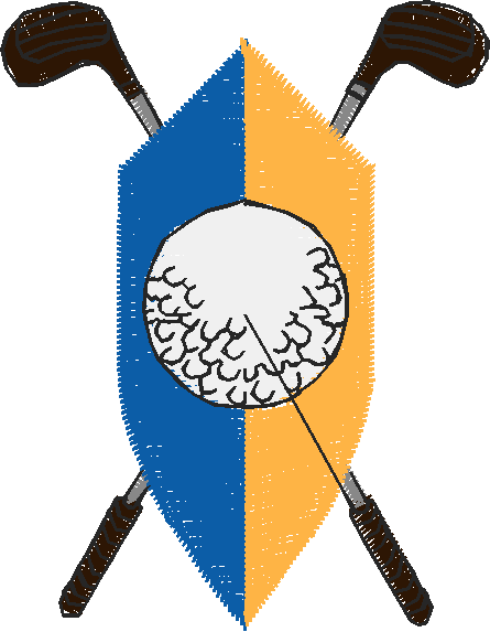 Golf 6  (11)