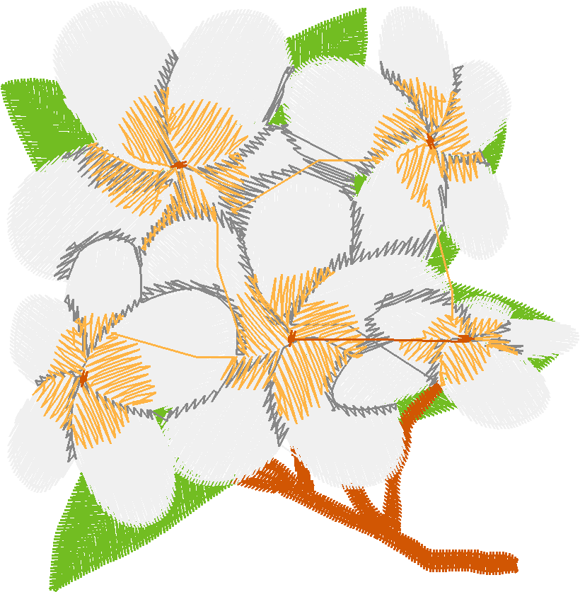 Hawaii 1  (5)
