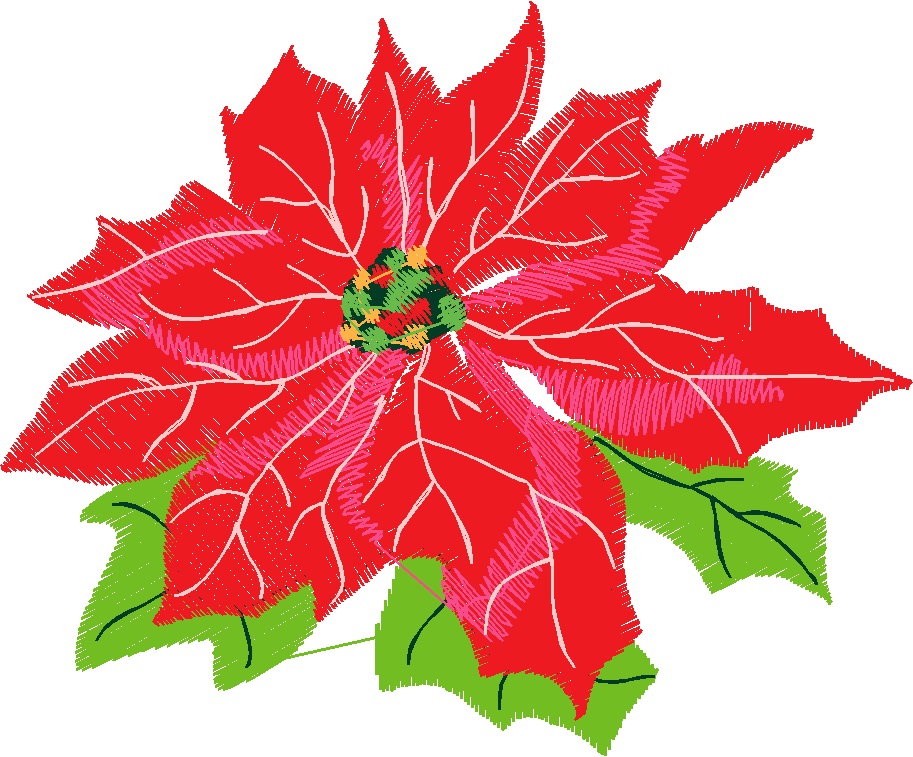 Holiday 1 (3)