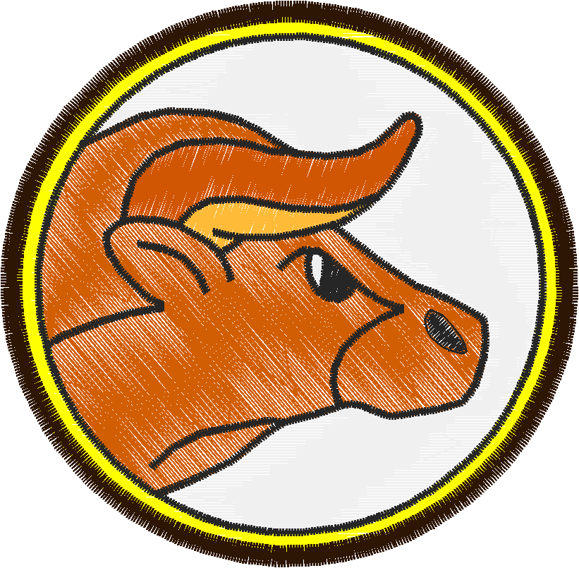 Stier