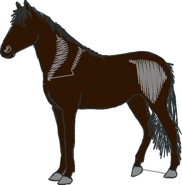 Horses 10 (17)