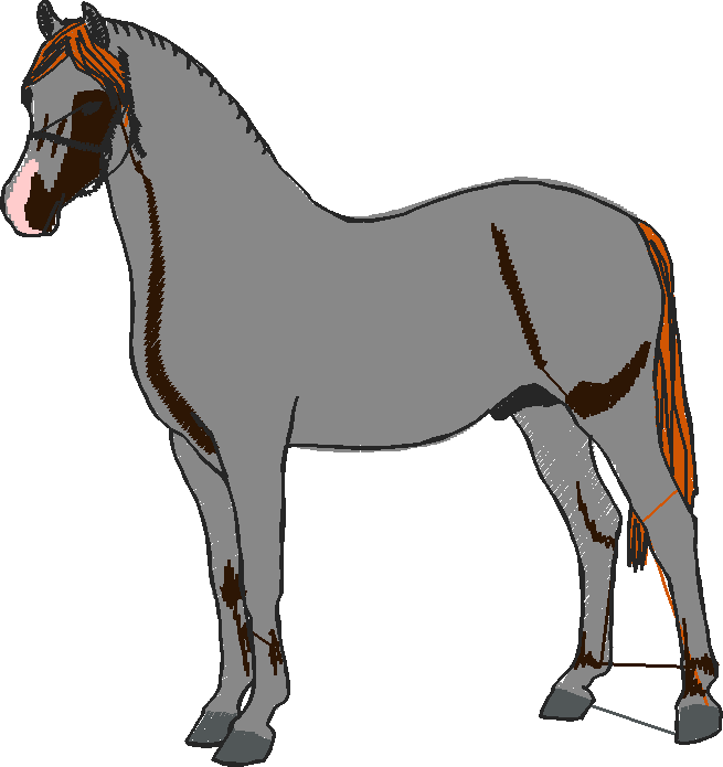 Horses 10 (2)