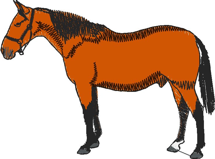 Horses 10 (4)