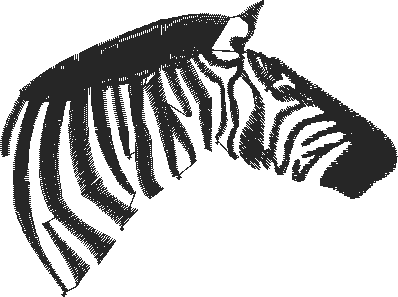 Horses 13  (8)