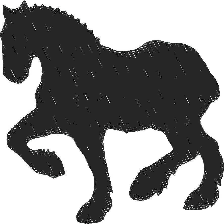 Horses 14  (14)