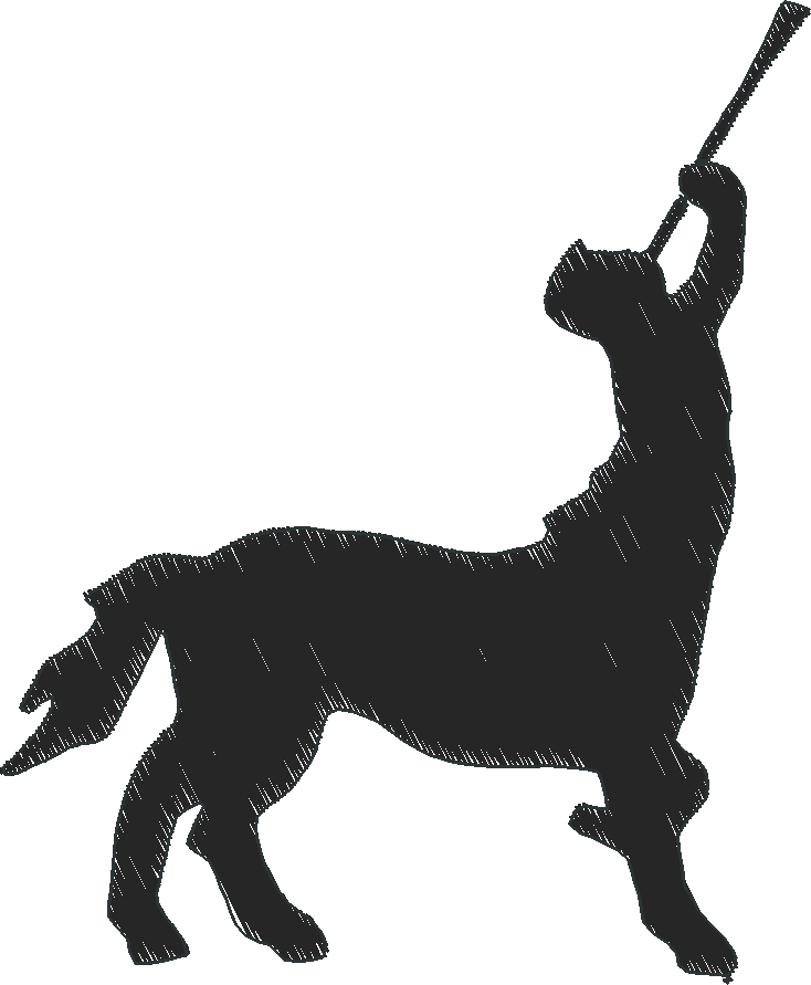 Horses 14  (20)