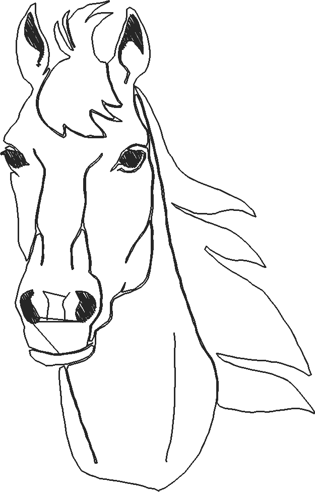 Horses 14  (4)
