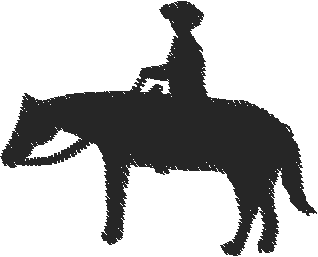 Horses 15  (19)