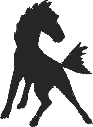 Horses 15  (9)