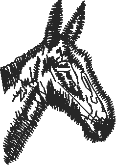 Horses 2  (39)