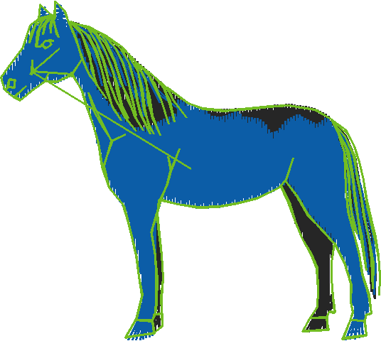 Horses 2  (43)