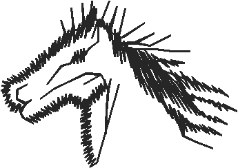 Horses 2  (76)