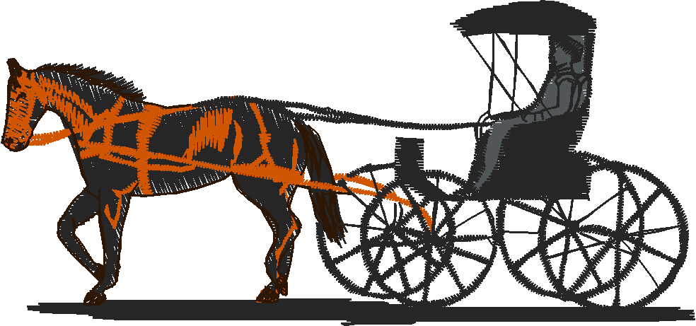 Horses 3  (14)