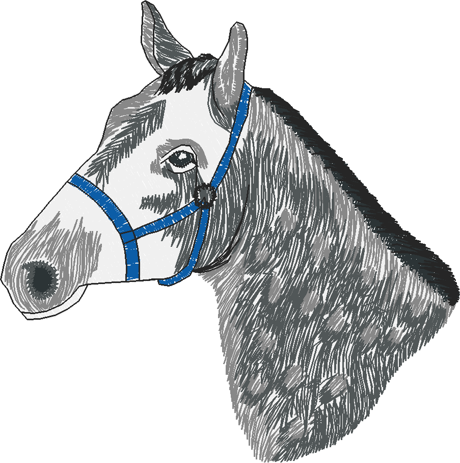 Horses 4  (10)