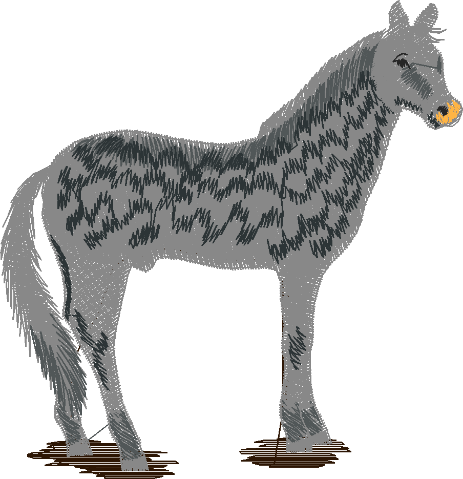 Horses 4  (14)
