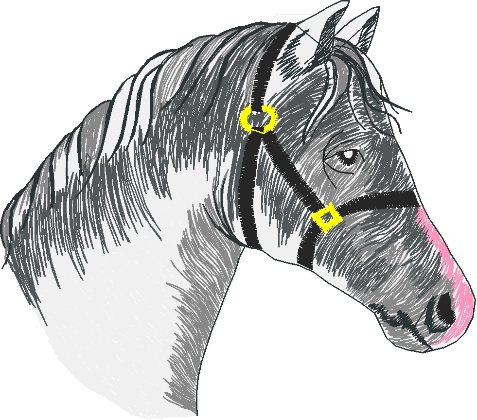 Horses 4  (9)