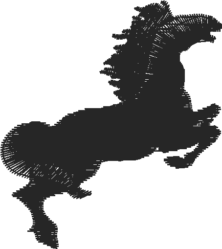 Horses 5  (13)