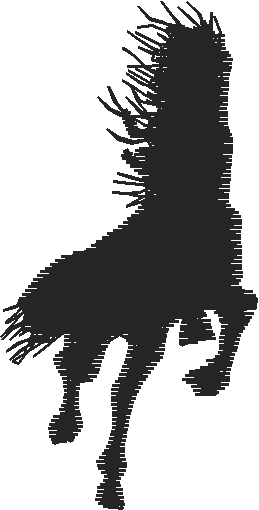 Horses 5  (20)