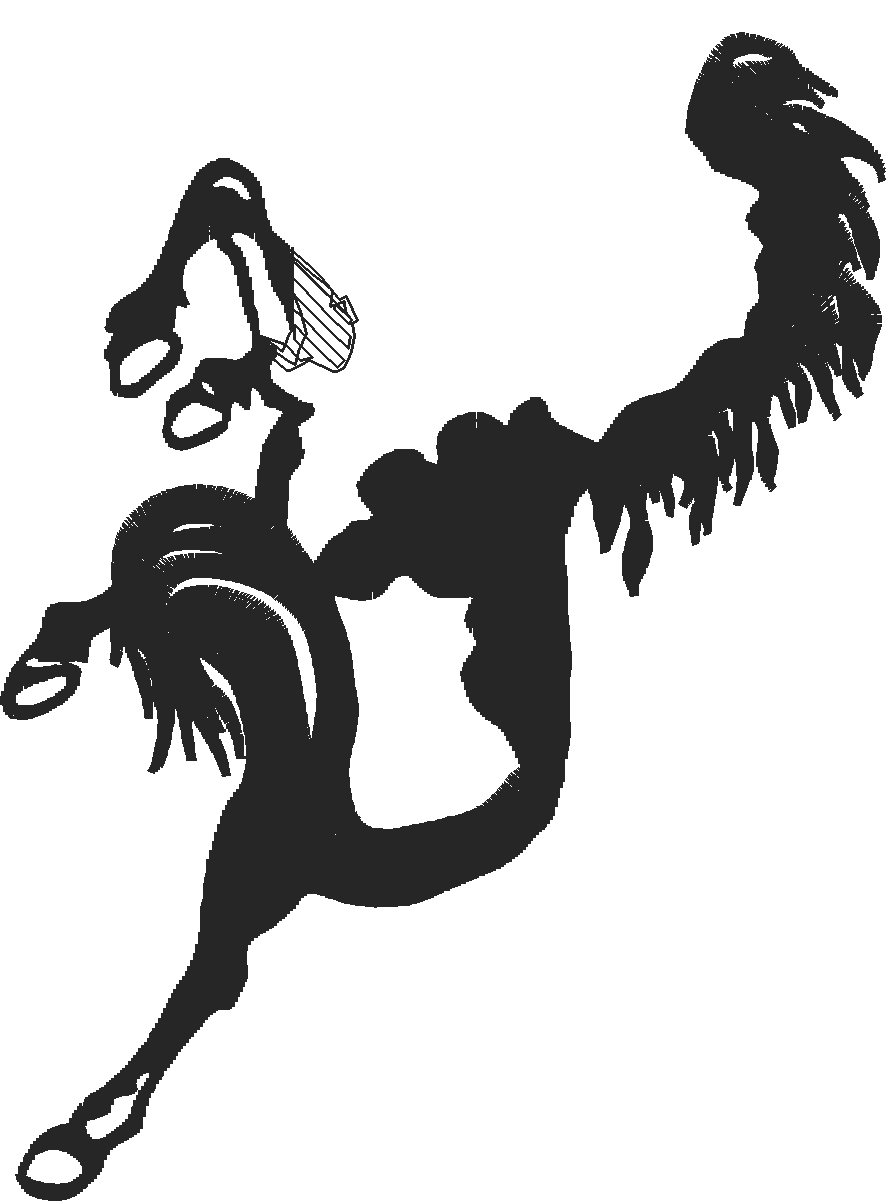Horses 5  (22)