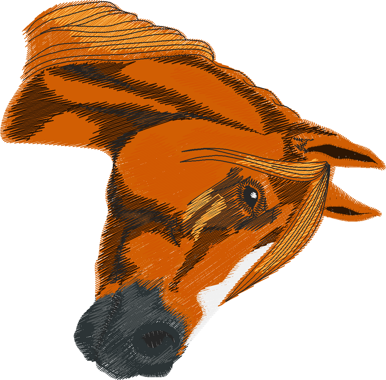 Horses 6  (2)