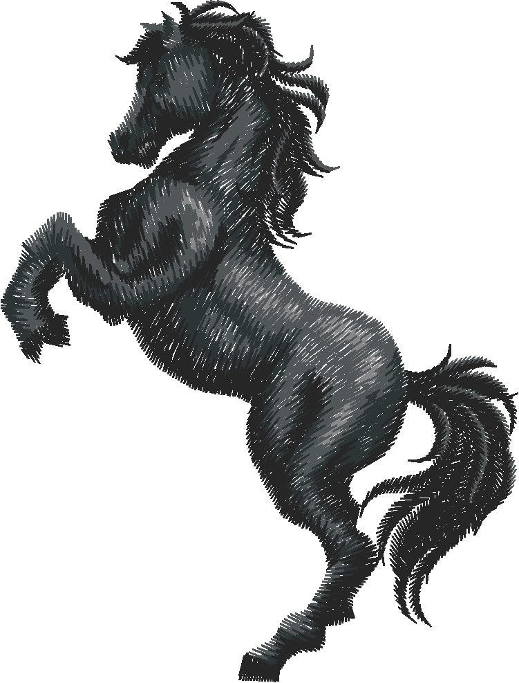 Horses 7  (7)
