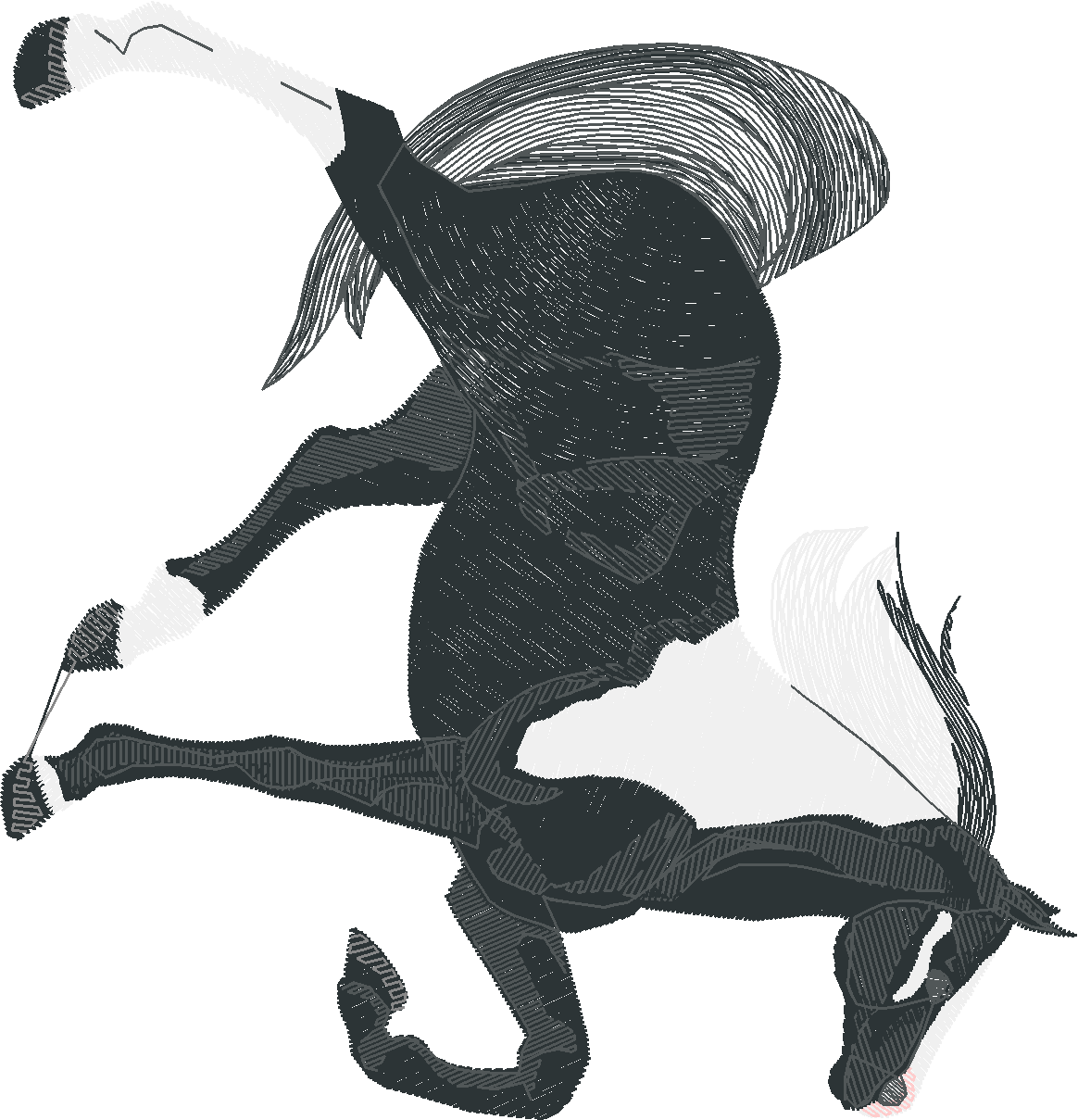 Horses 8  (6)