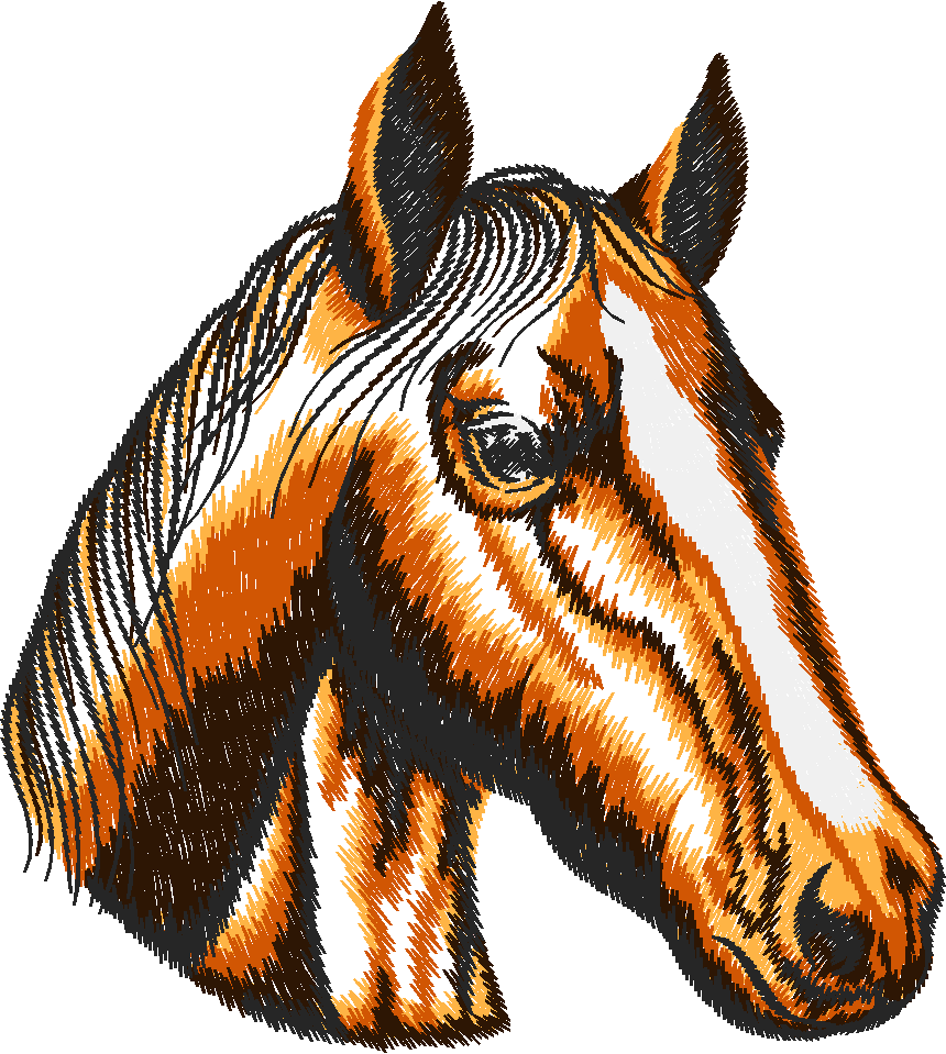 Horses 9  (1)