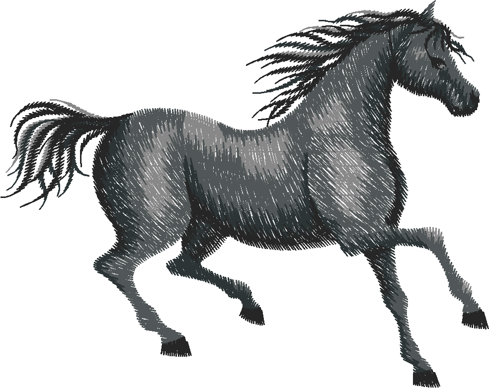 Horses 9  (8)