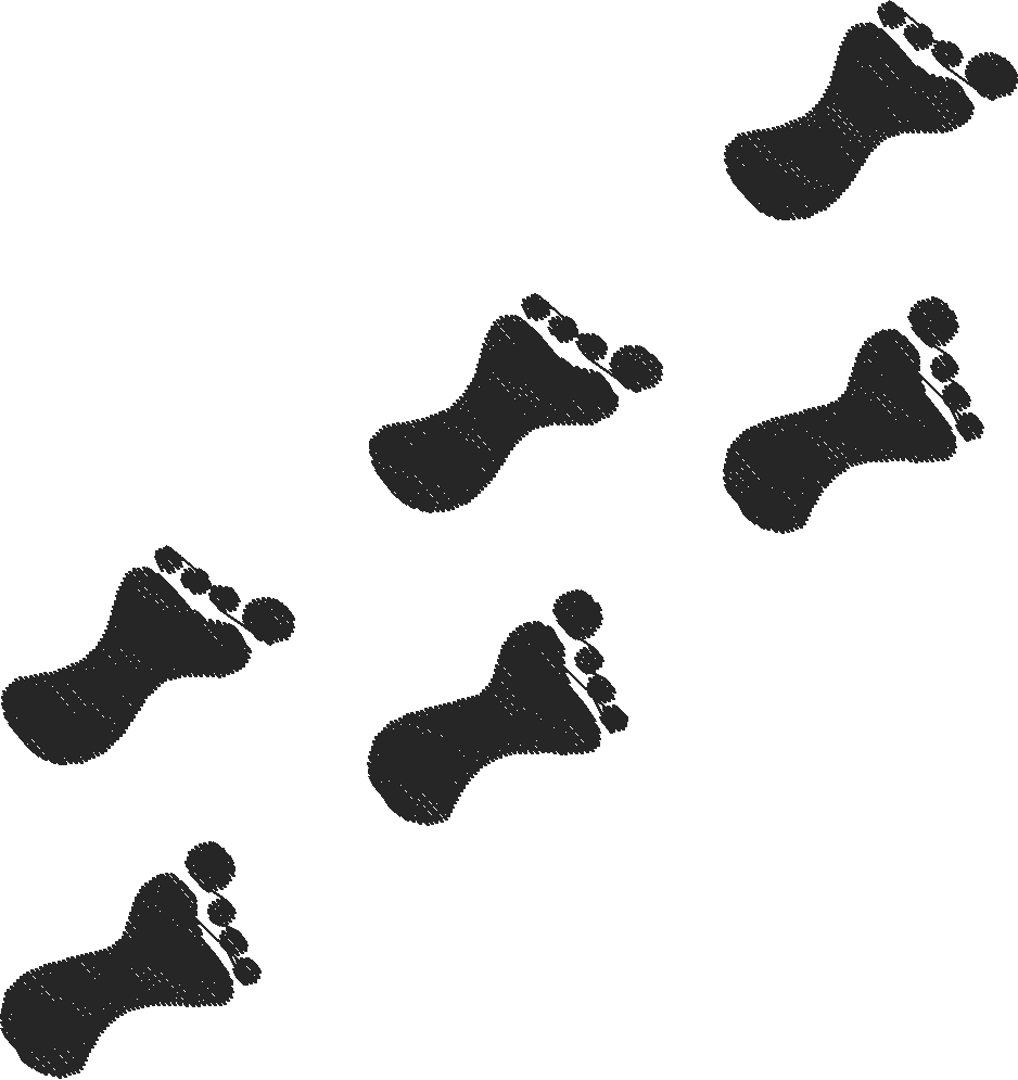 Flatfootwalking