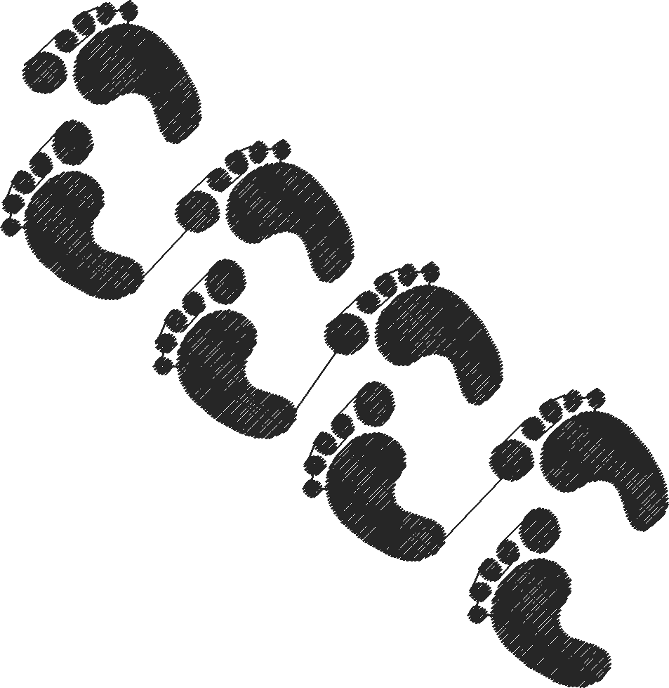 Humanbigtoewalking