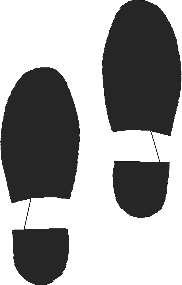 Mensshoe