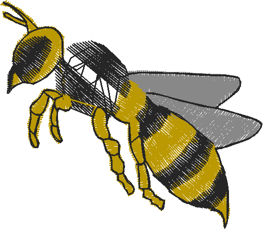 Insects 2  (17)