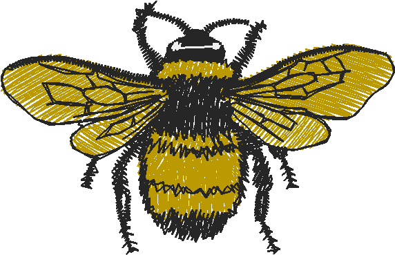 Insects 2  (18)