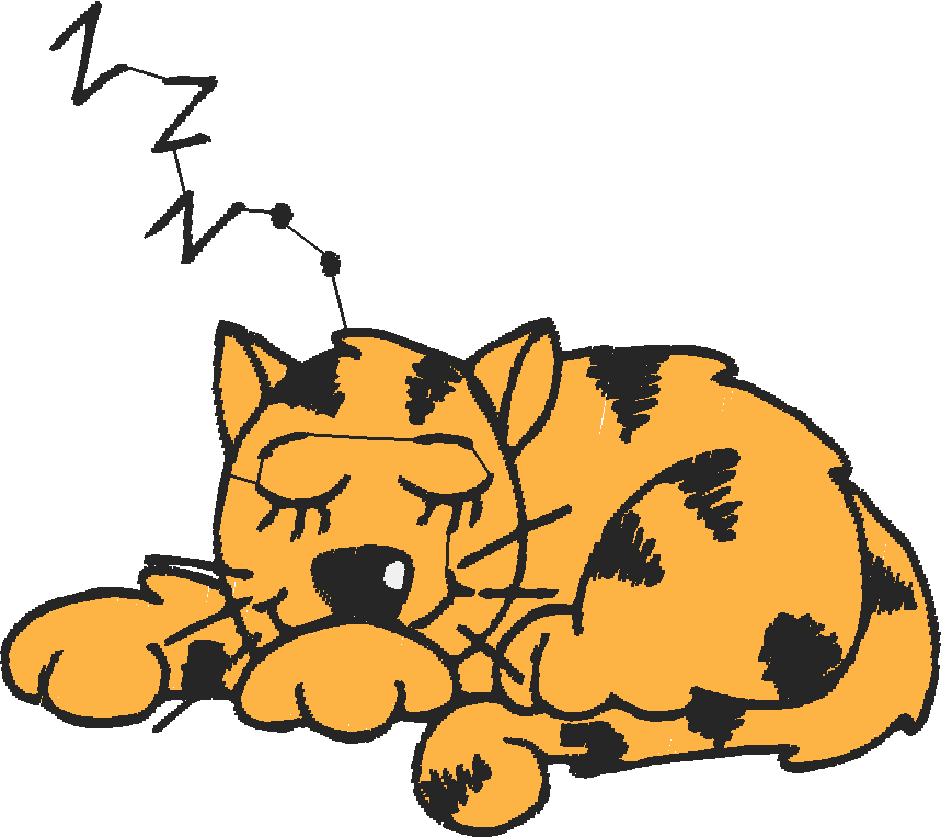 Kittens 1 (10)