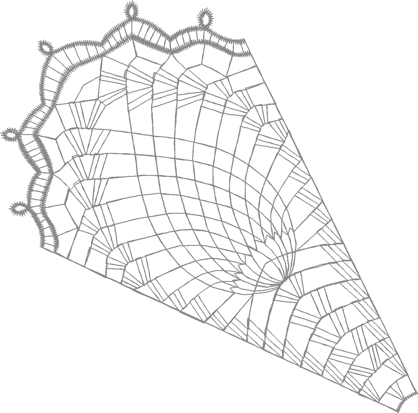Doily d